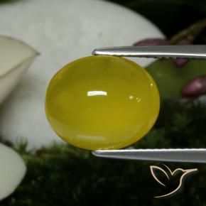 Agate Jaune miel léger naturelle ovale, 5.60 ct, Translucide