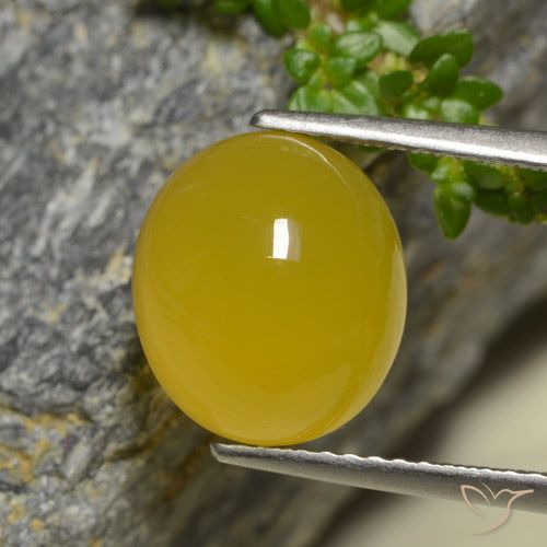 4.42ct Naturel Jaune foncé Agate, ovale, Translucide, Photo A