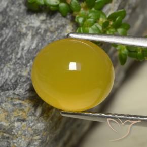 Agate Jaune foncé naturelle ovale, 4.42 ct, Translucide