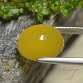 Agate Jaune foncé naturelle ovale, 4.42 ct, Translucide