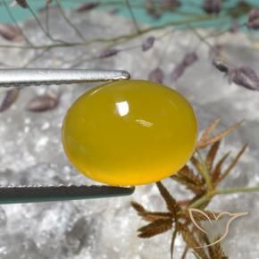 Agate Jaune foncé naturelle ovale, 4.02 ct, Translucide