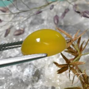 Agate Jaune foncé naturelle ovale, 4.02 ct, Translucide