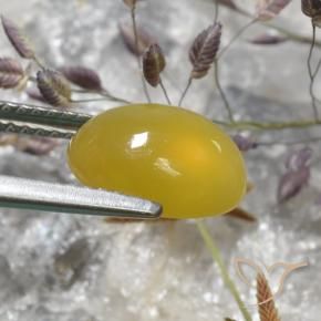 Agate Jaune foncé naturelle ovale, 3.05 ct, Translucide