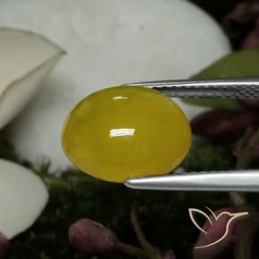Agate Jaune moyen naturelle ovale, 4.59 ct, Translucide