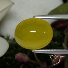 Agate Jaune moyen naturelle ovale, 4.19 ct, Translucide