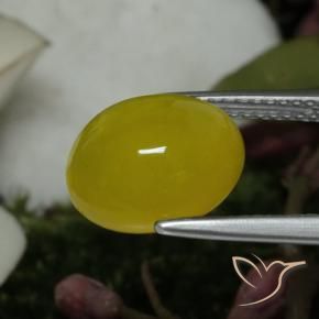 Agate Jaune moyen naturelle ovale, 4.19 ct, Translucide