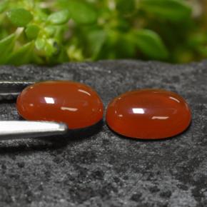 Achetez naturel 1,38ct orange agate gems, coupe ovale, en provenance inde chez gemselect. en stock, livraison internationale!