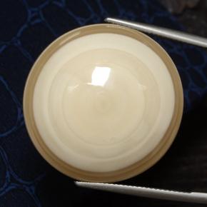 Agate multicolore naturelle coupe roude, 78,01 ct, opaque