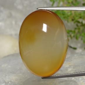 Agate Brun doré naturelle Coupe ovale, 38.01 ct, Translucide