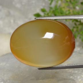 Agate Brun doré naturelle Coupe ovale, 38.01 ct, Translucide