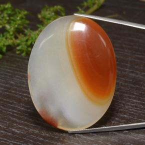 Agate multicolore naturelle coupe ovale, 84,57 ct, translucide