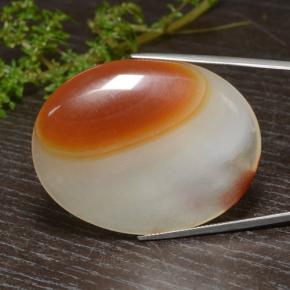 Agate multicolore naturelle coupe ovale, 84,57 ct, translucide