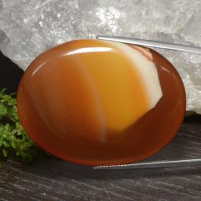 Agate multicolore naturelle coupe ovale, 81,88 ct, translucide