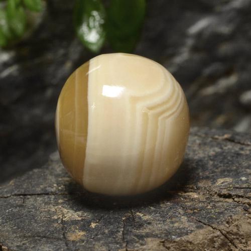 Agate Multicolore naturelle Sphère / Boule, 16.31 ct, Opaque