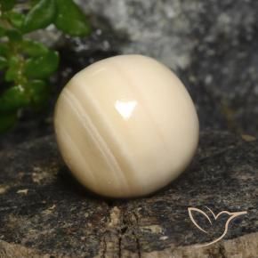 Agate Multicolore naturelle Sphère / Boule, 9.61 ct, Opaque
