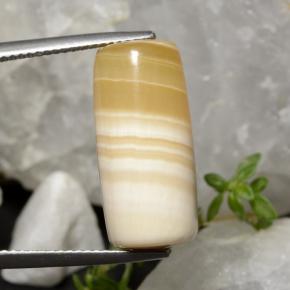 Agate multicolore naturelle forme fantaisie, 19,47 ct, translucide