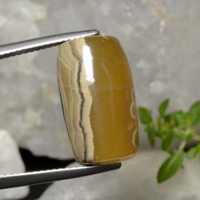 Agate multicolore naturelle forme fantaisie, 18,27 ct, translucide