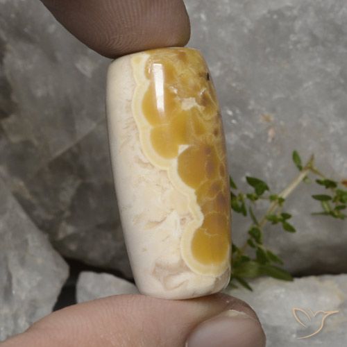 Agate multicolore naturelle forme fantaisie, 56,94 ct, opaque