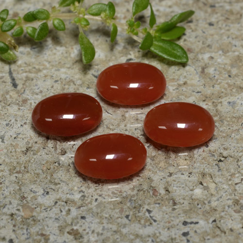 Achetez naturel 2,69ct rouge agate gems, coupe ovale, en provenance inde chez gemselect. en stock, livraison internationale!