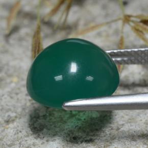 Agate vert naturelle coupe roude, 5,66 ct, translucide