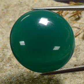 Agate vert naturelle coupe roude, 30,72 ct, translucide