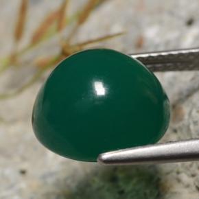 Agate vert naturelle coupe roude, 6,34 ct, translucide