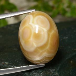 Agate Multicolore naturelle Coupe ovale, 14.86 ct, Opaque