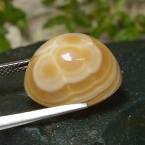 Agate Multicolore naturelle Coupe ovale, 14.86 ct, Opaque