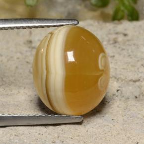 Agate multicolore naturelle coupe ovale, 9,16 ct, translucide