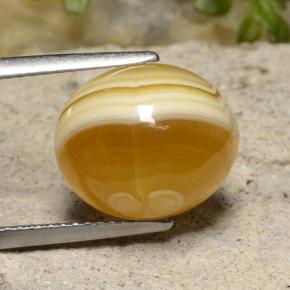 Agate multicolore naturelle coupe ovale, 9,16 ct, translucide