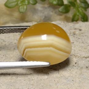 Agate multicolore naturelle coupe ovale, 9,16 ct, translucide