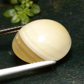 Agate multicolore naturelle coupe ovale, 9,46 ct, translucide