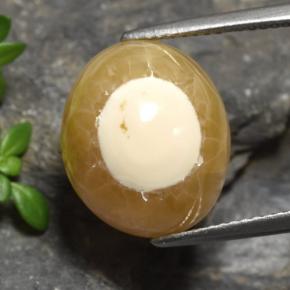 Agate Multicolore naturelle Coupe ovale, 13.60 ct, Translucide