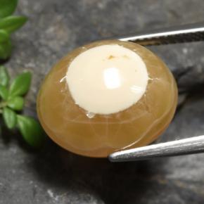 Agate Multicolore naturelle Coupe ovale, 13.60 ct, Translucide