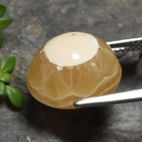 Agate Multicolore naturelle Coupe ovale, 13.60 ct, Translucide