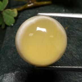 Agate multicolore naturelle coupe roude, 10,73 ct, translucide