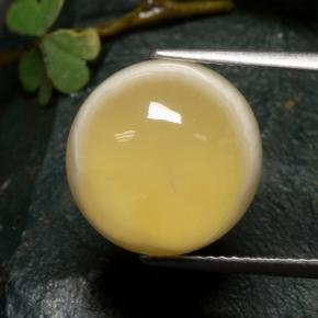 Agate multicolore naturelle coupe roude, 10,73 ct, translucide