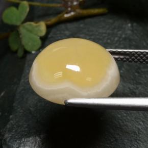 Agate multicolore naturelle coupe roude, 10,73 ct, translucide