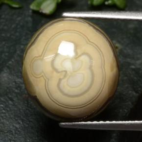 Agate Multicolore naturelle Coupe ovale, 12.04 ct, Opaque