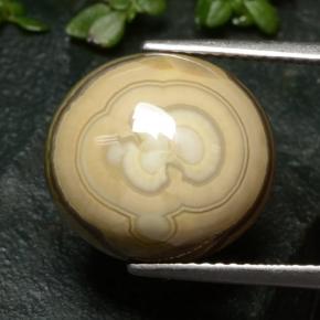 Agate Multicolore naturelle Coupe ovale, 12.04 ct, Opaque