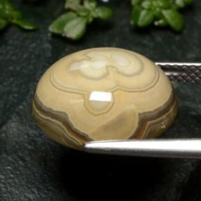 Agate Multicolore naturelle Coupe ovale, 12.04 ct, Opaque