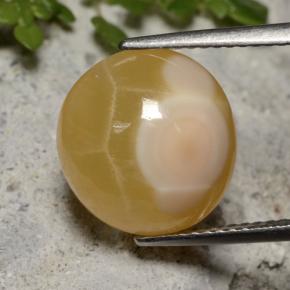 Agate multicolore naturelle coupe ovale, 7,59 ct, translucide
