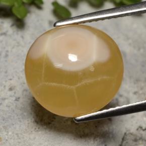 Agate multicolore naturelle coupe ovale, 7,59 ct, translucide