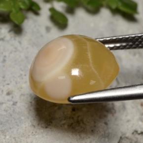 Agate multicolore naturelle coupe ovale, 7,59 ct, translucide