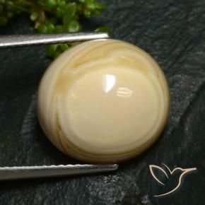 Agate Multicolore naturelle ovale, 12.37 ct, Opaque