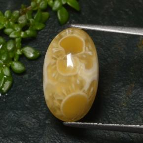 Agate multicolore naturelle coupe ovale, 6,57 ct, translucide
