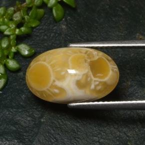 Agate multicolore naturelle coupe ovale, 6,57 ct, translucide