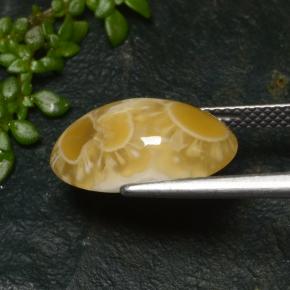 Agate multicolore naturelle coupe ovale, 6,57 ct, translucide