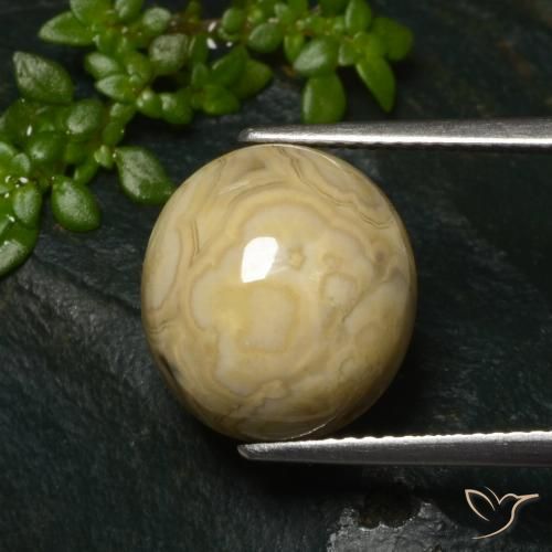 Agate Multicolore naturelle ovale, 11.32 ct, Opaque