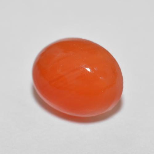 Agate Orange moyen naturelle Coupe ovale, 2.04 ct, Translucide